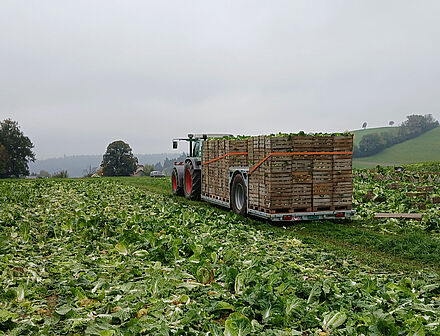 Gebrüder Blaser Agrokulturen