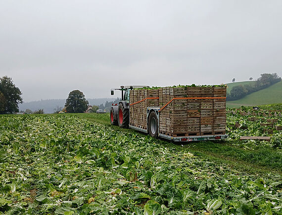 Gebrüder Blaser Agrokulturen